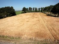 Anerveenseweg 54, 7788 AH Anerveen