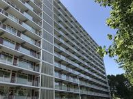 Spuikreek 361, 3079 AL Rotterdam