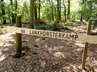 Rozenvoorderdijk 1, 8124 PC Wesepe