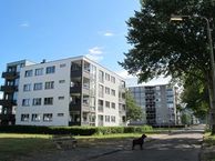 Buizerdlaan 40, 2623 JS Delft