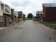 Winterkoninkje, 5531 LP Bladel