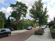 Pastoor Windhausenlaan, 5935 BC Steyl