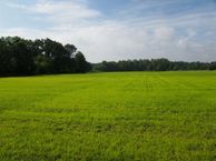 Mussenkampseweg 11 A*, 8181 PJ Heerde