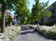 Steenderenstraat 22, 1107 LC Amsterdam