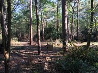 Binckhorstlaan 12, 3739 LC Hollandsche Rading