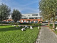 D.H.A.C. Hammarskjöldstraat 57, 9728 WX Groningen