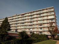 Alkenoord 294, 2903 XM Capelle aan den IJssel