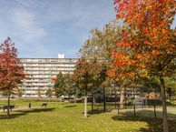 Bachplein 390, 3122 JK Schiedam