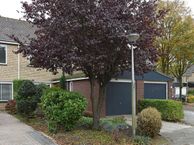 Fluitekruid 25, 1273 XE Huizen