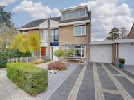 Hondstong 5, 1964 LG Heemskerk