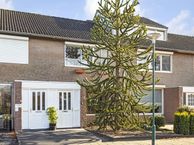 Paulinastraat 10, 5491 JG Sint-Oedenrode