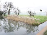 Wateringseweg 52, 2685 ST Poeldijk