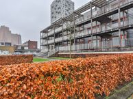 Laan van de Vrijheid 134, 9728 GH Groningen