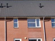 Hondsrooswal 14, 7813 CP Emmen