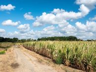 Bouwnummer (Bouwnr. 2), 6114 JC Susteren