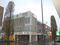 A.L. Dyserinckstraat 20 C, 2032 RC Haarlem