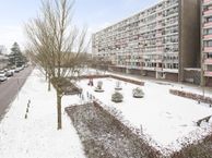 Trekvogelweg 261, 3815 LJ Amersfoort