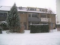 Bergschot 608, 4817 PN Breda