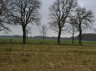 Hoogeveenseweg 13, 7921 PC Zuidwolde (DR)