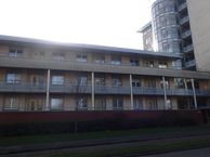 Muiderwaard 54, 1824 XX Alkmaar