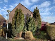 Vogelwikkestraat 2, 4761 ZH Zevenbergen