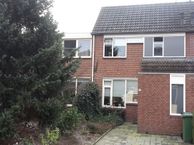 Bingelkruid 4, 5803 BM Venray