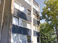 Dawson-Nes 21 A, 1862 AH Bergen (NH)