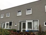 Parnassuspad 11, 3054 TS Rotterdam