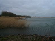 Burgerdijkseweg 54 nabij, 2678 NZ De Lier