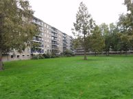 Aert van Neslaan 318, 2341 HM Oegstgeest