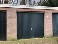 Roemer Visscherstraat 67, 6824 MV Arnhem