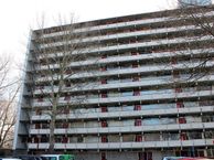 Buizerd 103, 8446 KM Heerenveen