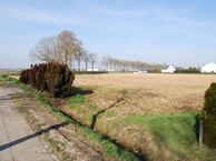 Wijksestraat, 4261 TT Wijk en Aalburg