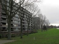 Kaneelhof 49, 3193 JB Hoogvliet Rotterdam