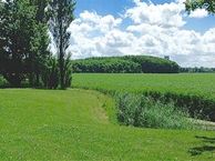 Koailoane 3, 9172 AV Ferwert