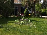 Roodewijk 10, 4475 PC Wilhelminadorp