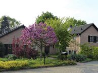 Heiveld 72, 6596 BZ Milsbeek