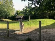 Westerwoud, 3931 DJ Woudenberg