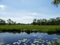 De Tsjoele 5, 8401 BE Gorredijk