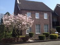 Meester Molstraat 9, 4756 BN Kruisland