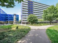 Torenmolen 50, 1035 AX Amsterdam