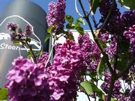 Musicalstraat 24, 1323 VP Almere