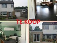 Diamantdijk 345, 4706 HL Roosendaal