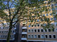Van Nijenrodeweg 593, 1082 HV Amsterdam