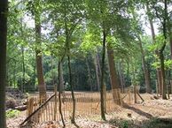 Woestduinlaan, 3941 XM Doorn