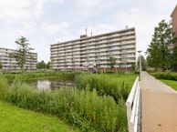 Peppelhorst 2, 2742 CS Waddinxveen