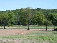 Riethorsterweg, 6586 AC Plasmolen