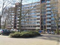 Kaneelhof 69, 3193 JB Hoogvliet Rotterdam