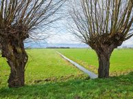 Haarzicht fase 3.1 (6 vrije kavels) (Bouwnr. 138), 3455 SN Haarzuilens
