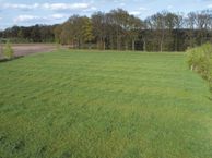 Koeweidendijk, 7161 RL Neede